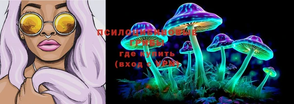 спайс Киреевск