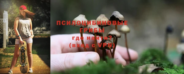 спайс Киреевск