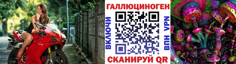 Псилоцибиновые грибы мицелий  Купить где  Щигры 