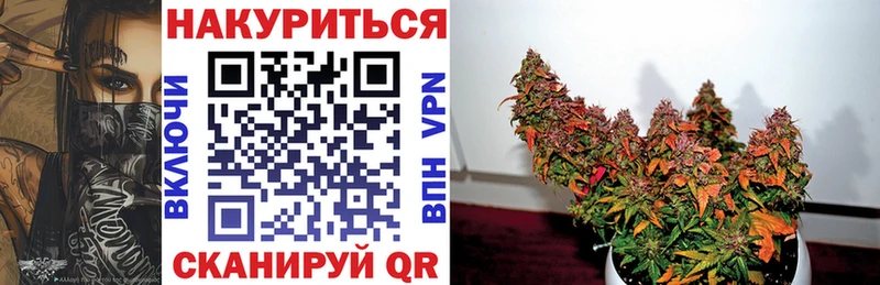 Бошки Шишки семена Щигры